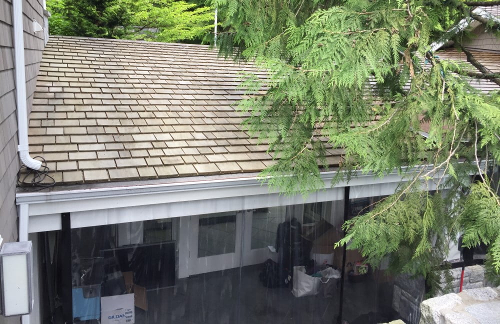 Gutter Cleaning Services