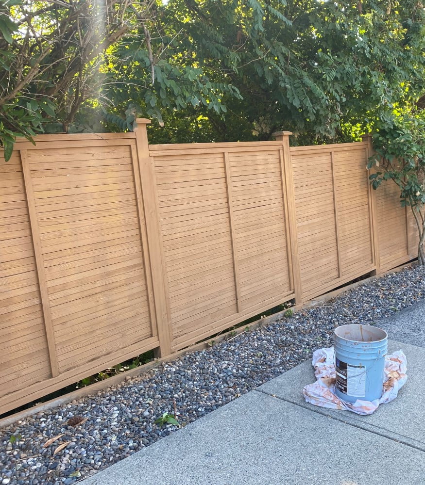 Fence after painting